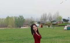 电弧手机电影下载